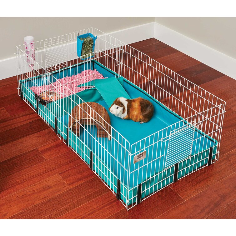 Large guinea best sale pig cage